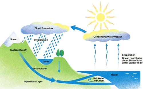 IELTS Academic Writing Process Diagram Sample: Water cycle