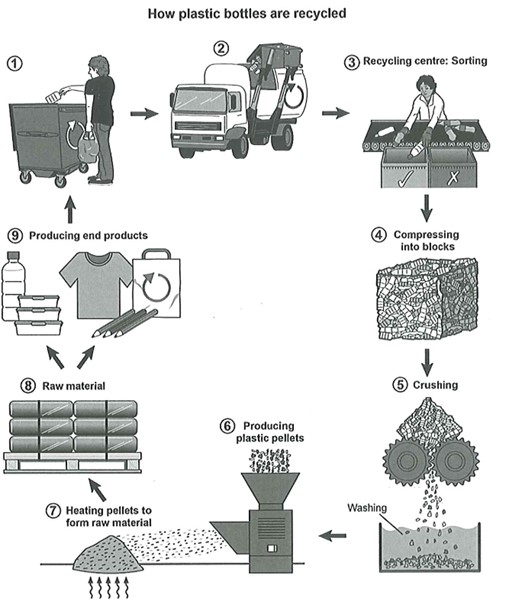 Plastic bottles IELTS Sample