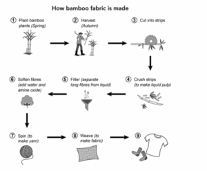 Cambridge IELTS 20 Process sample